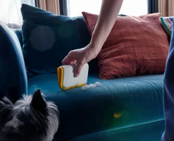 CleanTech™ Pet Hair & Carpet Cleaning Set