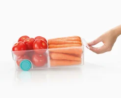 FridgeStore™ Large Clear Storage Bin